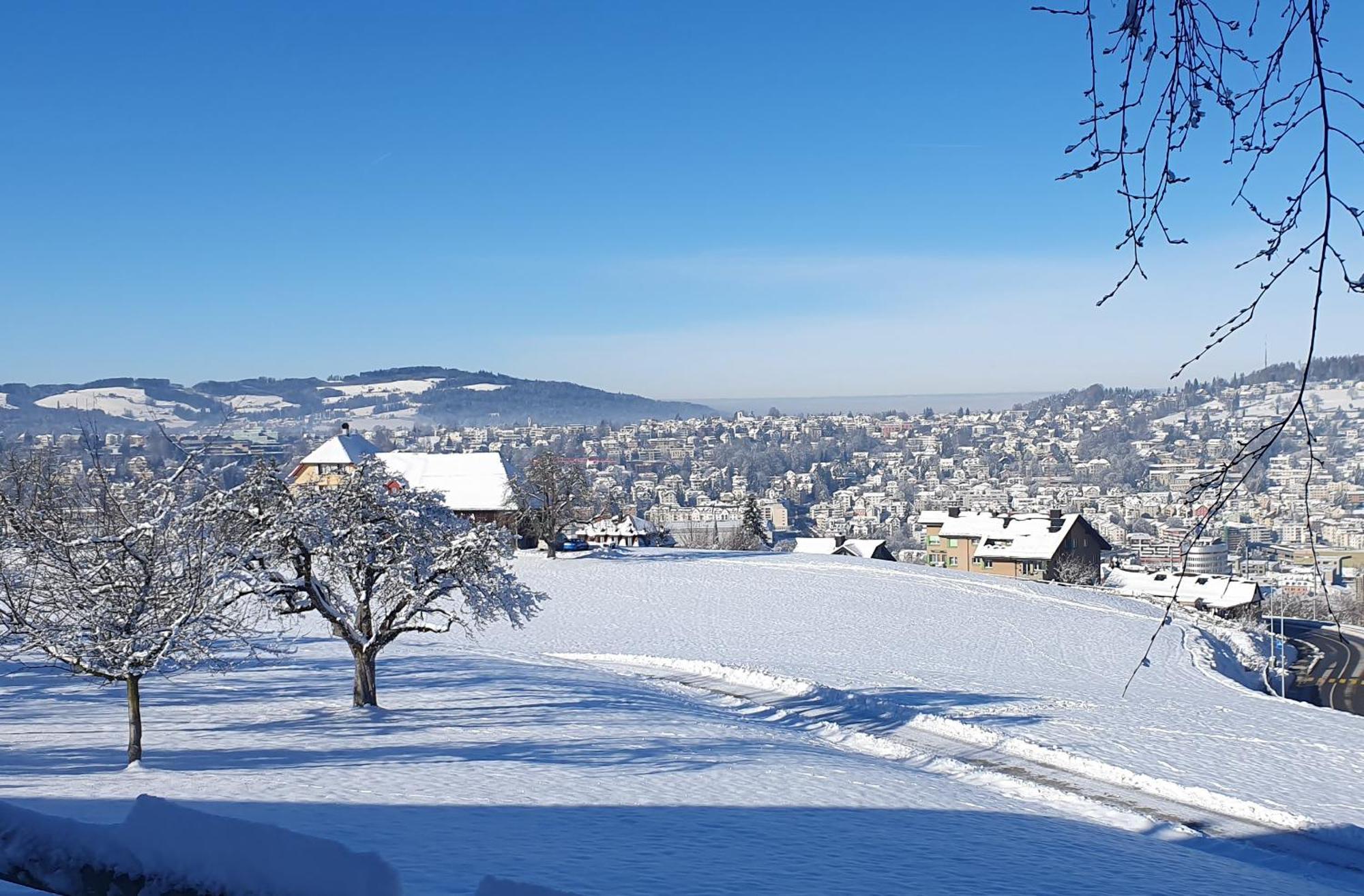 2-4 Zimmer Apartments Stilvoll Im Gertrud Schloessli - Zentral Ruhig St. Gallen Eksteriør bilde