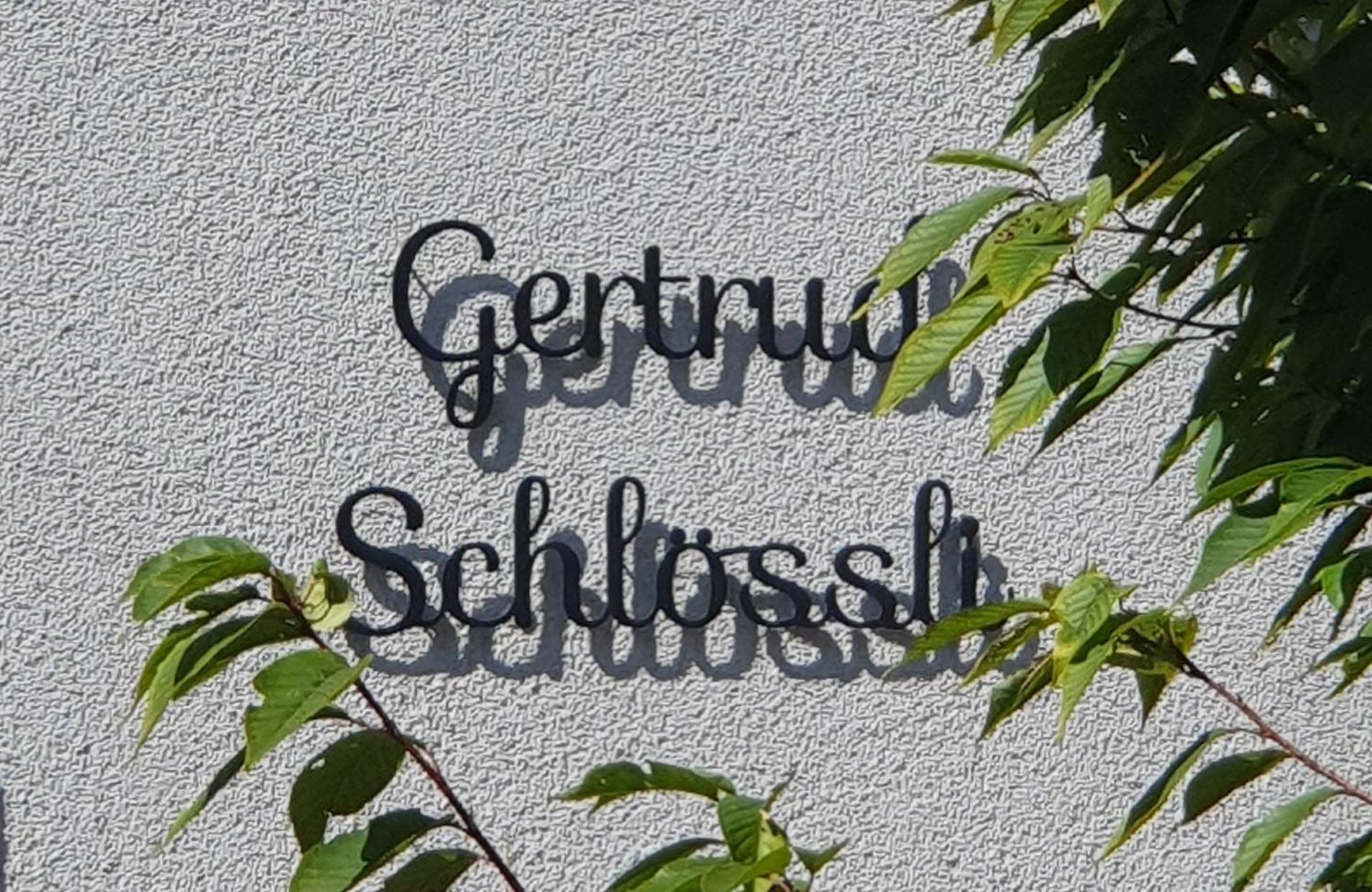 2-4 Zimmer Apartments Stilvoll Im Gertrud Schloessli - Zentral Ruhig St. Gallen Eksteriør bilde